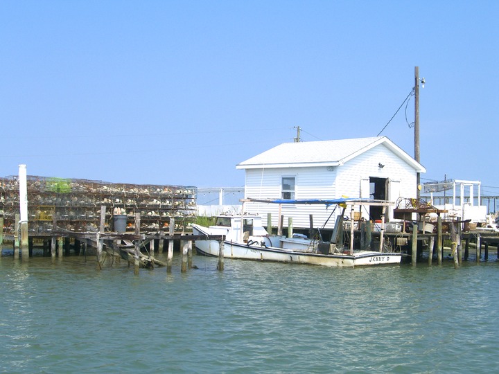 174 Tangier Island