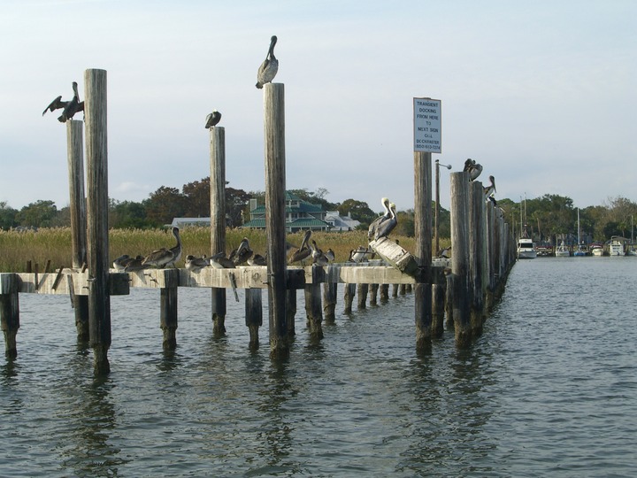 20 Entrance to Apalachacola Municipal marina