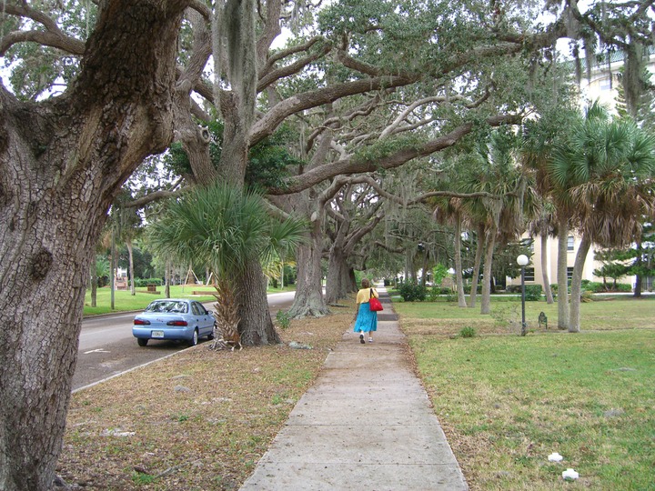 75 Hiking back to the boat in Venice, FL