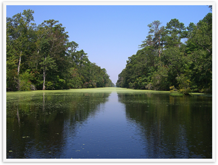 142 Great Dismal Swamp Canal