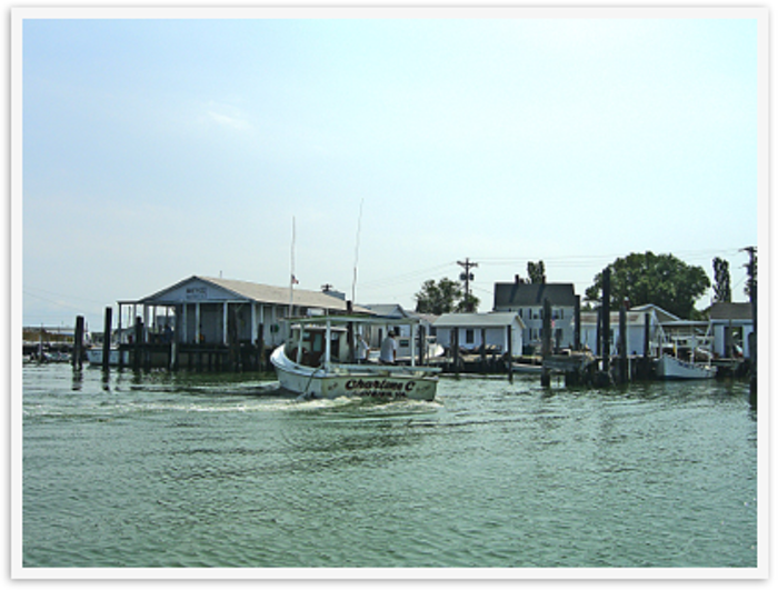 167 Tangier Island